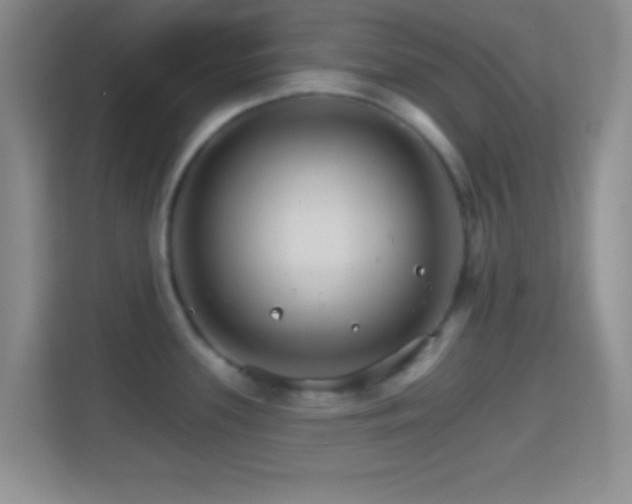 X0000114401339200910231102