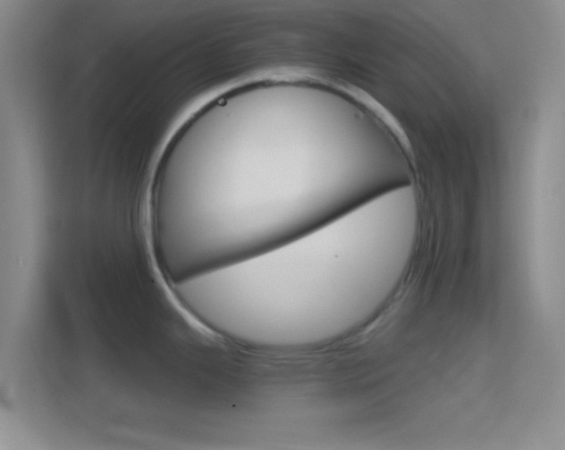 X0000114401343200910231102