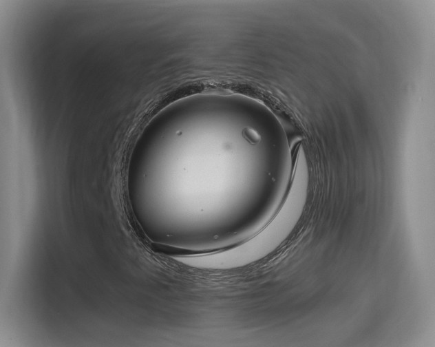 X0000114401345200910231101