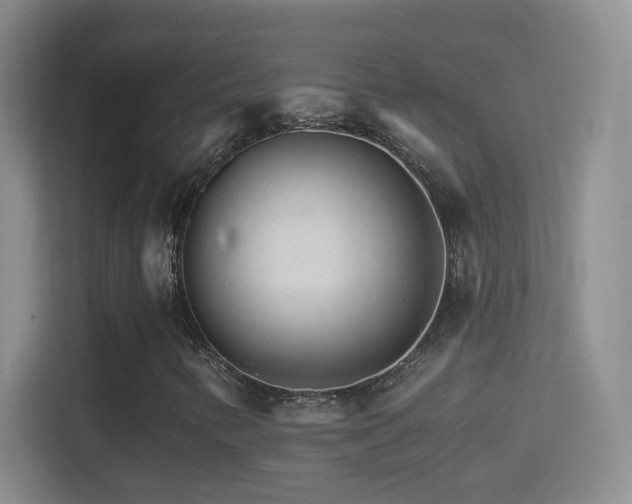 X0000114401346200910231101