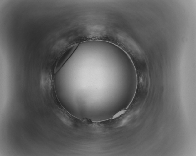 X0000114401348200910231101