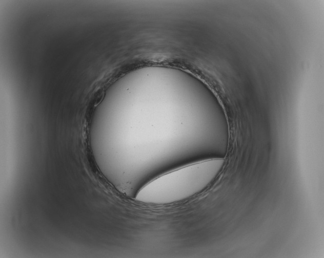 X0000114401349200910231101