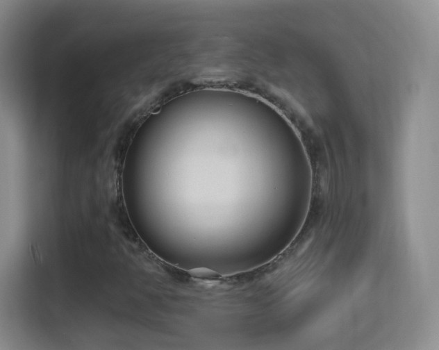 X0000114401350200910231101