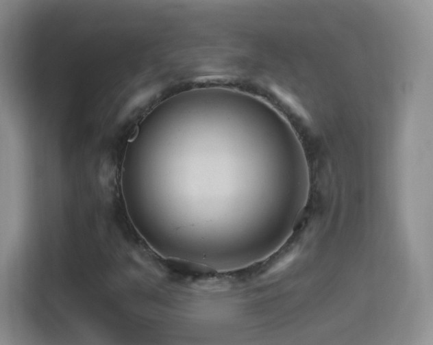 X0000114401351200910231101