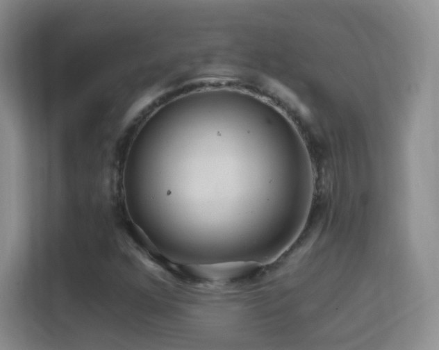 X0000114401352200910231101