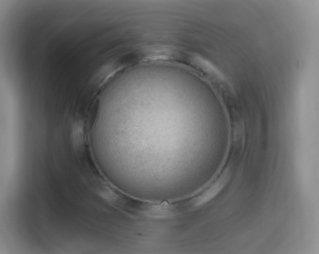 X0000114401353200910231101