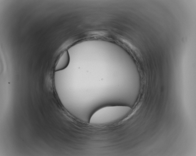 X0000114401354200910231101