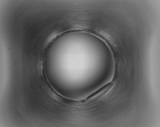 X0000114401355200910231101