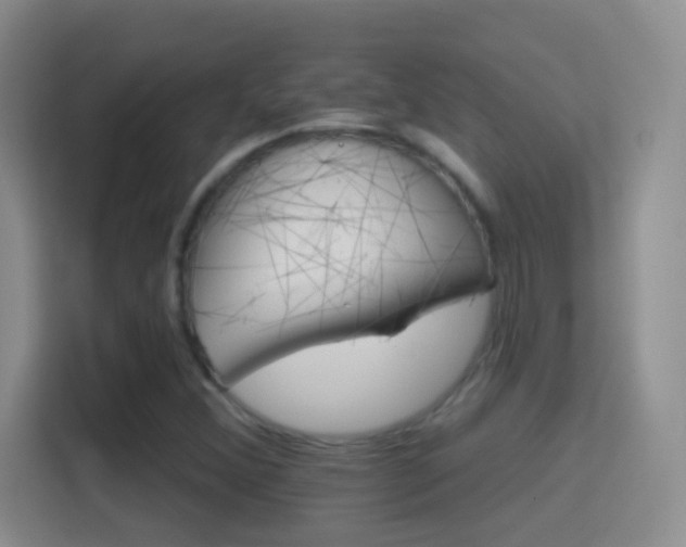 X0000114401356200910231101