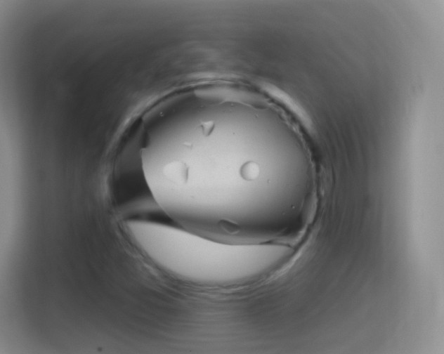 X0000114401357200910231101