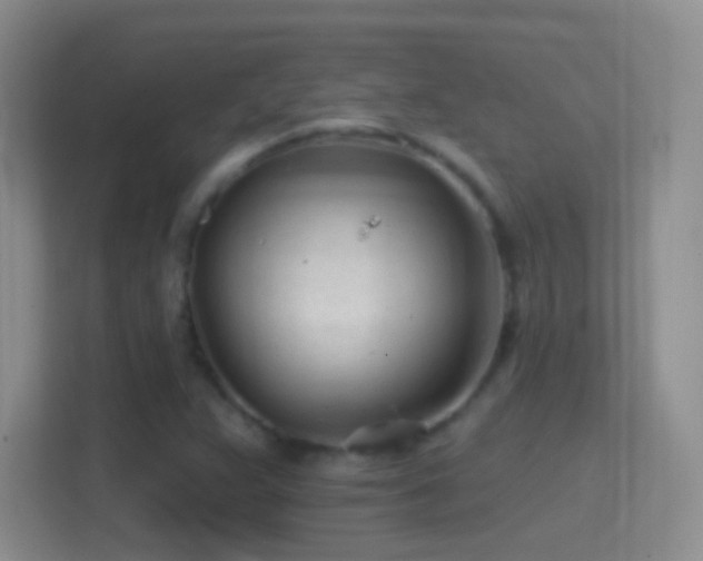 X0000114401359200910231101