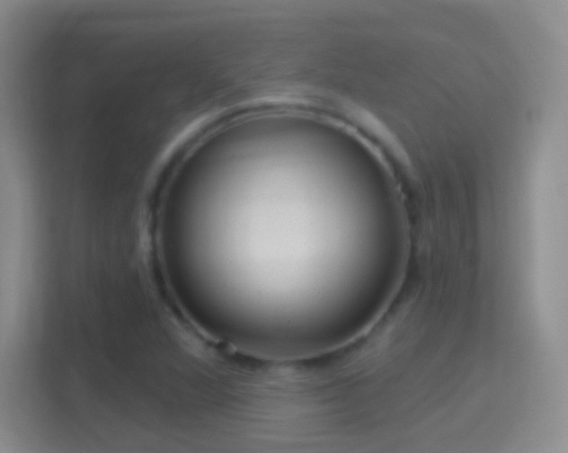 X0000114401360200910231101