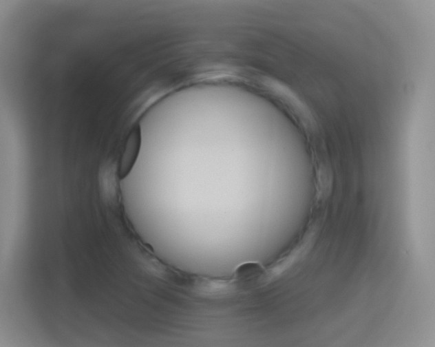 X0000114401361200910231101