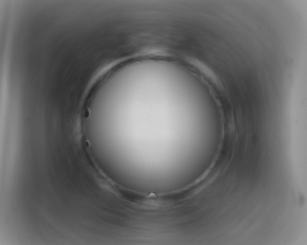 X0000114401364200910231101