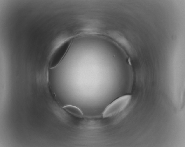 X0000114401365200910231101