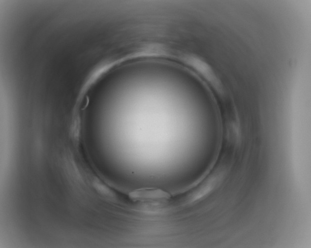 X0000114401366200910231101