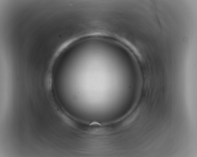 X0000114401367200910231101