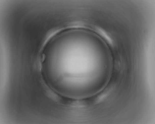 X0000114401368200910231101