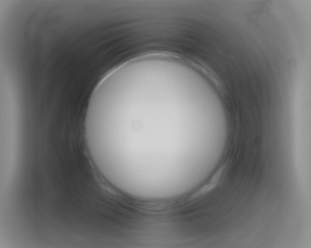 X0000114401369200910231101