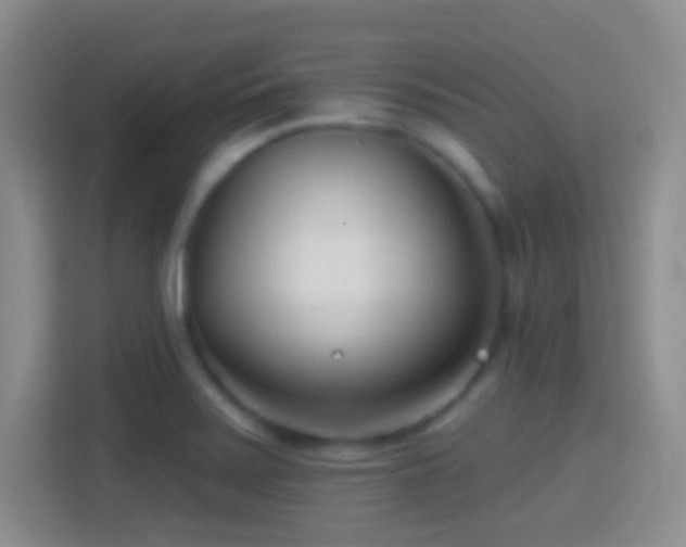 X0000114401371200910231101