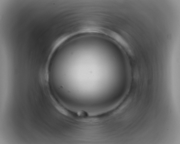 X0000114401372200910231101