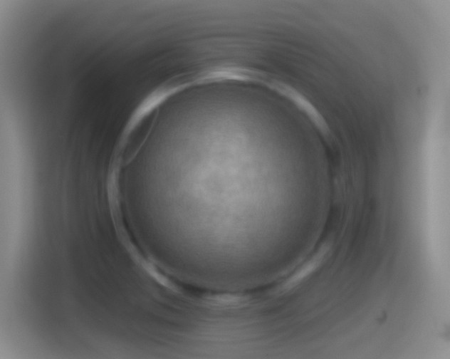 X0000114401373200910231101