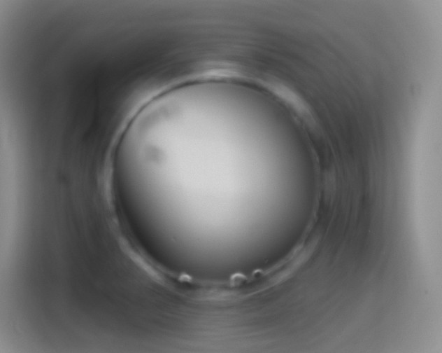 X0000114401374200910231101