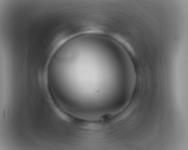 X0000114401375200910231101