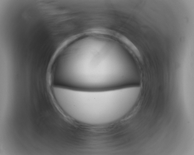 X0000114401376200910231101