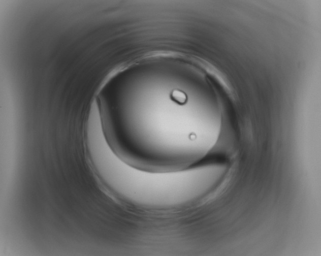 X0000114401377200910231101