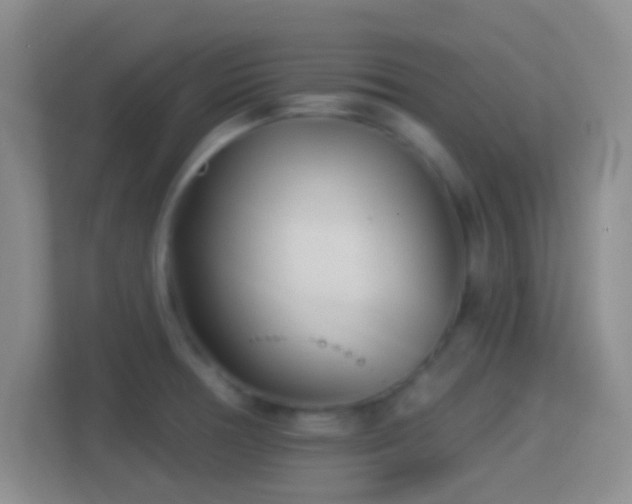 X0000114401378200910231101