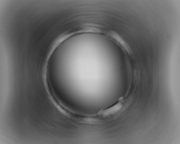 X0000114401379200910231101