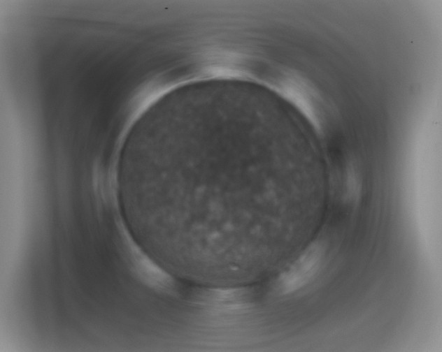 X0000114401381200910231101