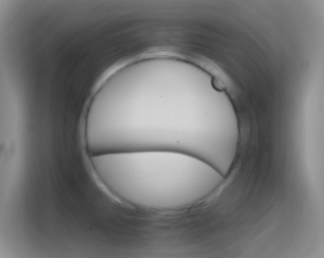 X0000114401382200910231101