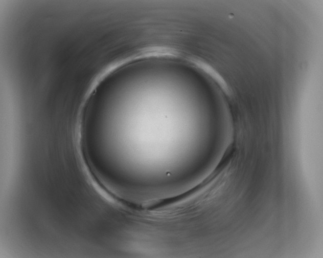 X0000114401383200910231101