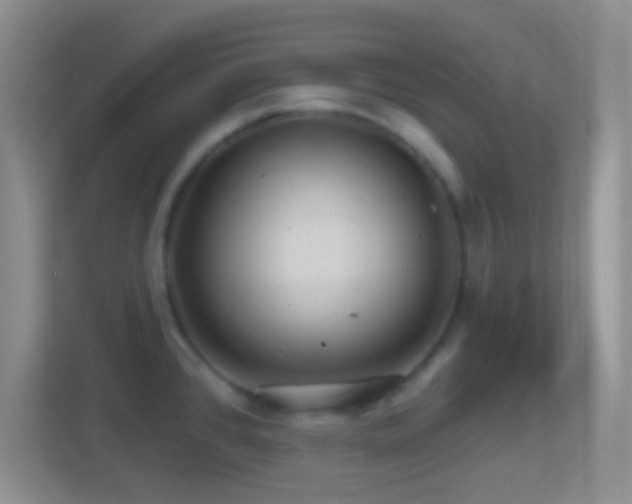 X0000114401384200910231101