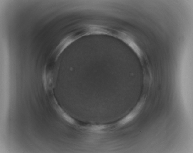 X0000114401385200910231101