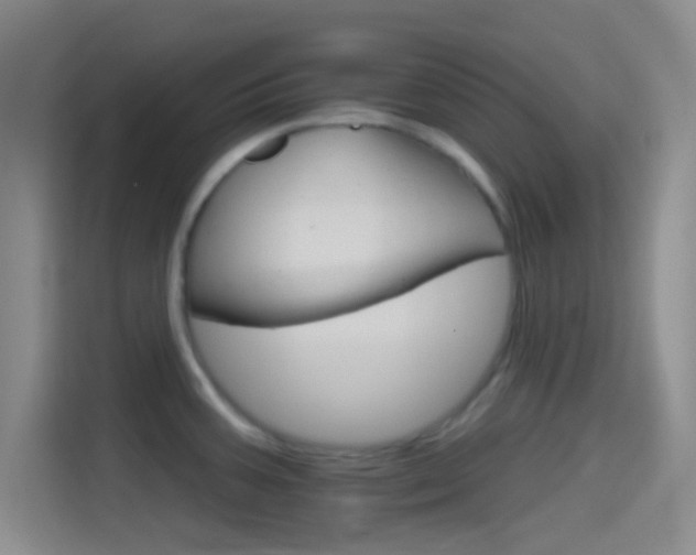 X0000114401387200910231100