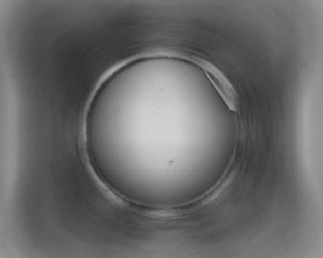 X0000114401388200910231100