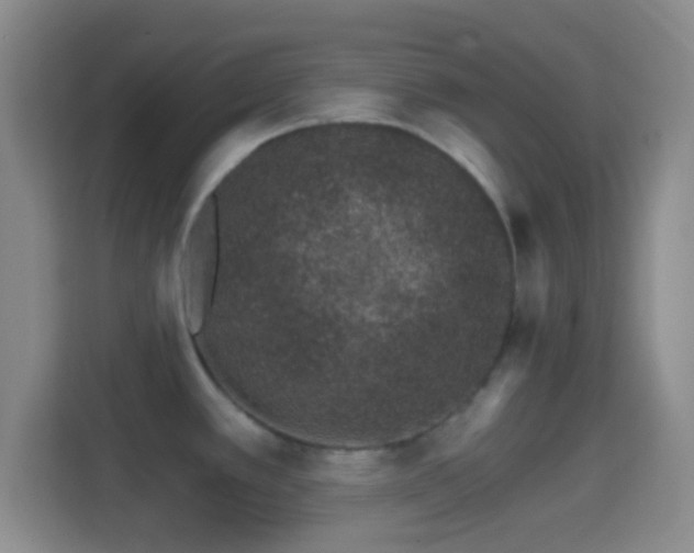 X0000114401389200910231100