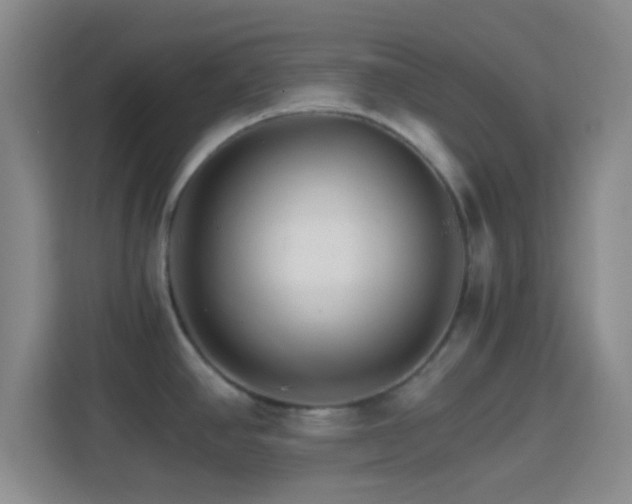 X0000114401390200910231100