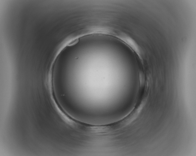 X0000114401391200910231100