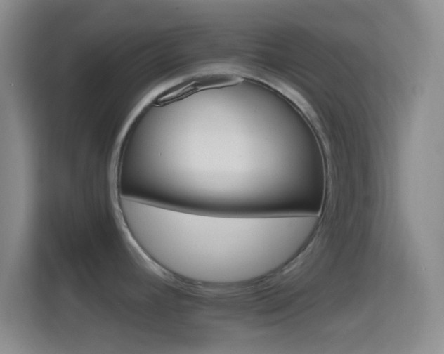 X0000114401392200910231100