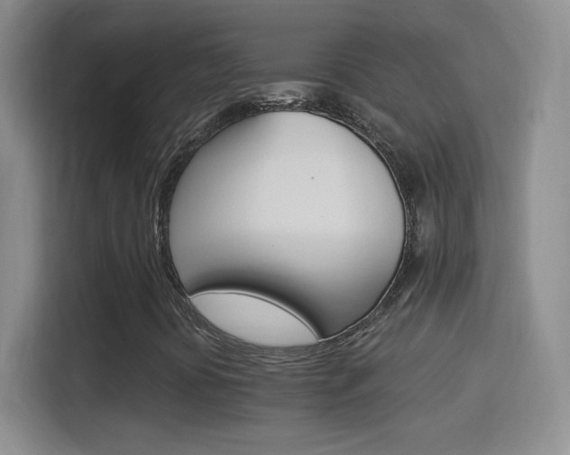 X0000114401394200910231100