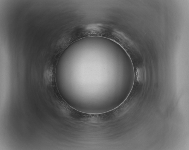 X0000114401395200910231100