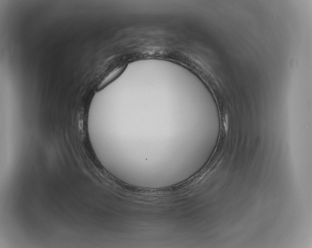 X0000114401396200910231100