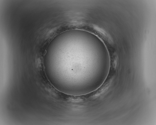 X0000114401397200910231100