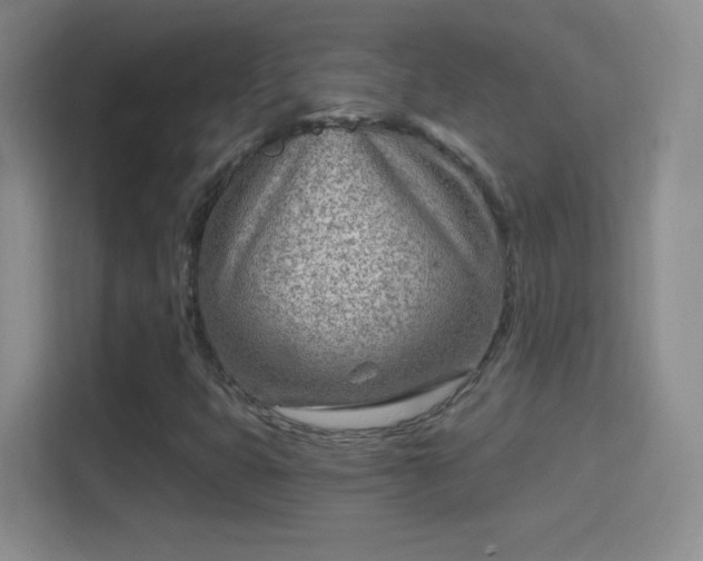 X0000114401399200910231100