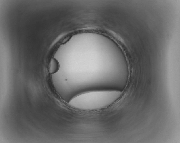 X0000114401400200910231100