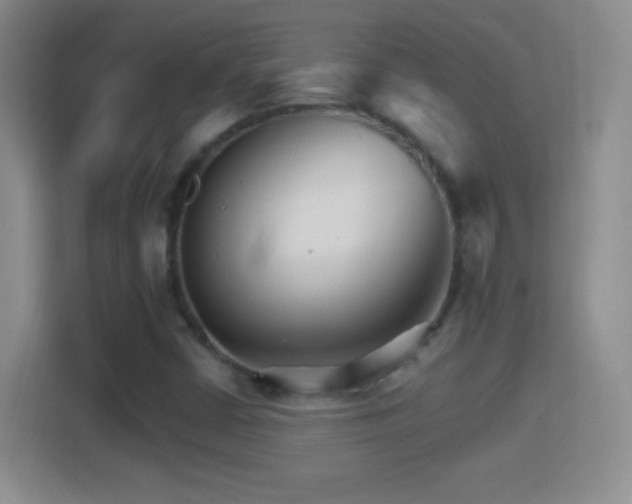 X0000114401402200910231100